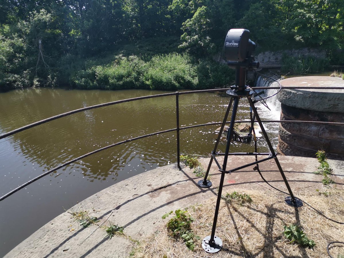 LandScopeUK's tweet photo. Our combined surveys produce a high resolution visualisation of structures above and below the water and are a valuable tool for both #AssetInspection and condition assessment. Pictured, a snapshot from a recent #survey of a sluice gate. Find out more: https://t.co/WHs7Tr1aiR https://t.co/iJaBwurYRK