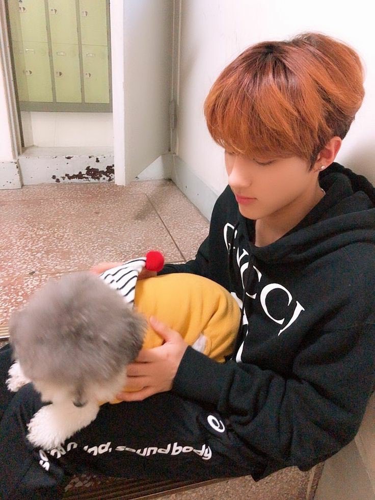 dog cafe dates with Eric;you both are animal lovers, especially dogs! you both go to dogs cafes often and your gallery is filled with pictures of him and puppies ;-; he also can’t stop himself from petting dogs when he see them on the streets!!