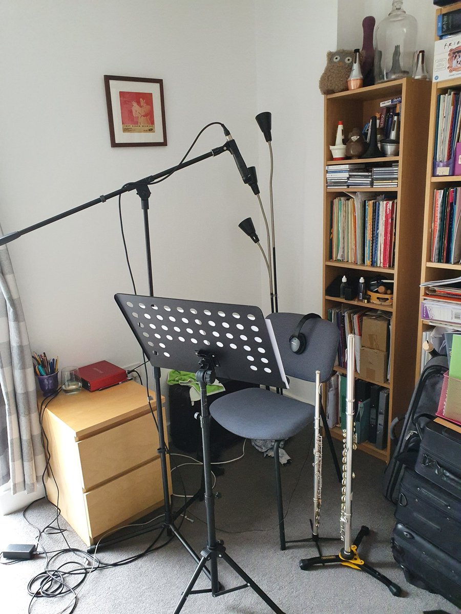 Having fun in my 'remote studio' today #altoflute #flute #remotesession 🎤🤓🎧🦉