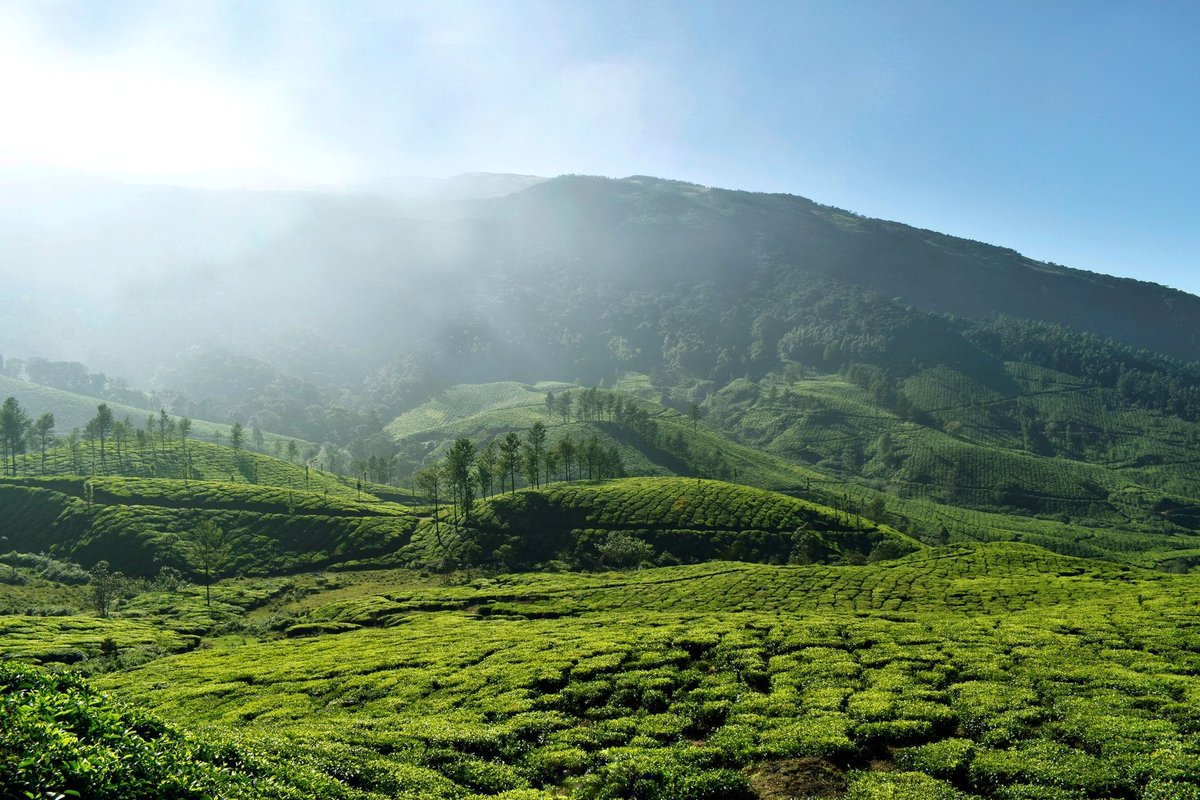 Contour_Air's tweet photo. Upptäck höjdpunkterna hos tropiska Kerala inklusive Kochi, Periyar och fortsätt därefter till fantastiska Sri Lanka. Vi siktar på avresa i mars 2021. #contourairse #vivillresa https://t.co/mRpOfbKjRP