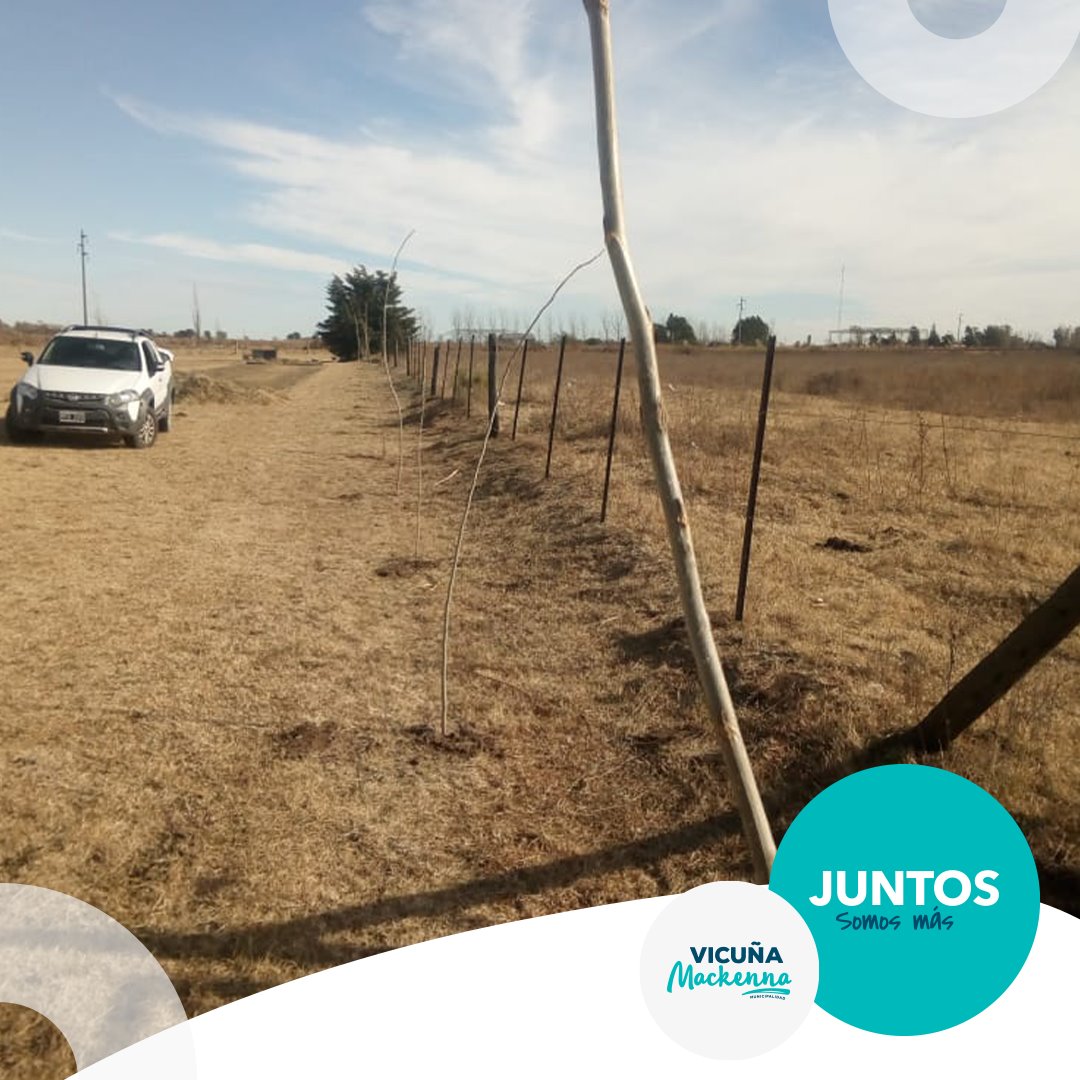 FORESTACIÓN EN EL POLIDEPORTIVO MUNICIPAL 

facebook.com/Municipalidadd…