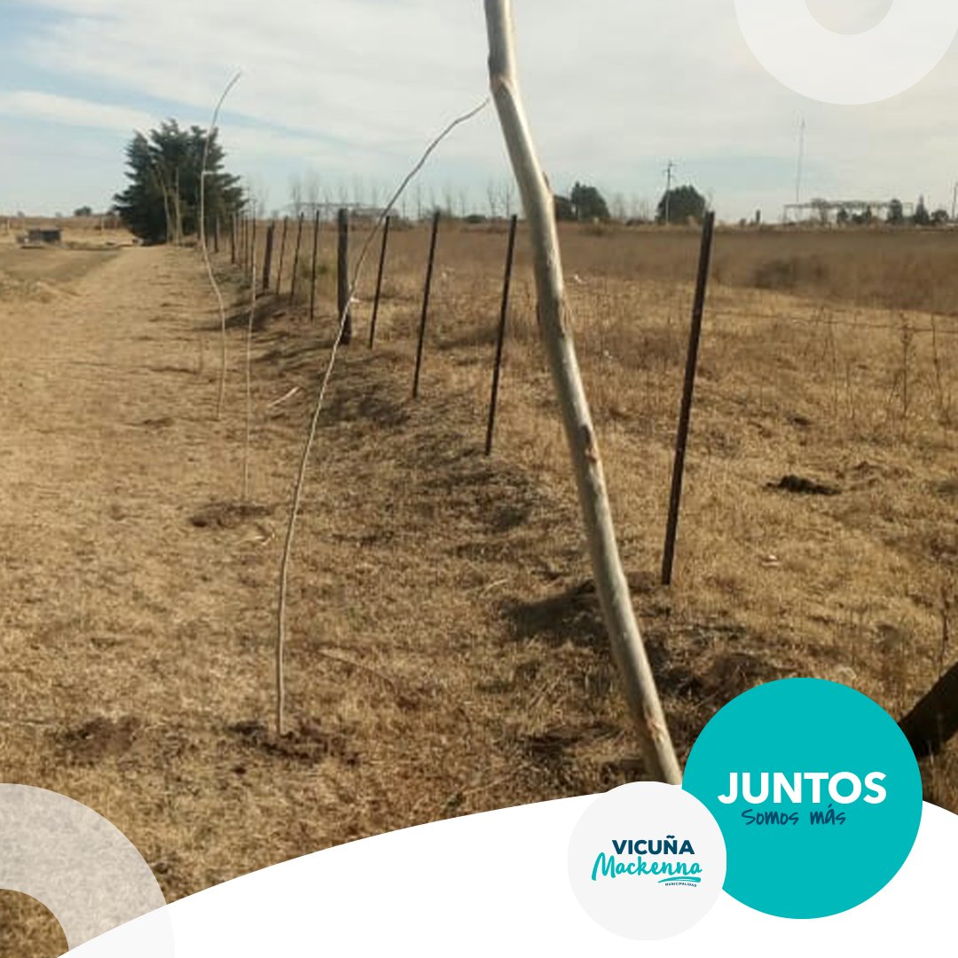 MuniMackenna's tweet photo. FORESTACIÓN EN EL POLIDEPORTIVO MUNICIPAL 

https://t.co/ENmK36Stpi https://t.co/nTON2tq9eP