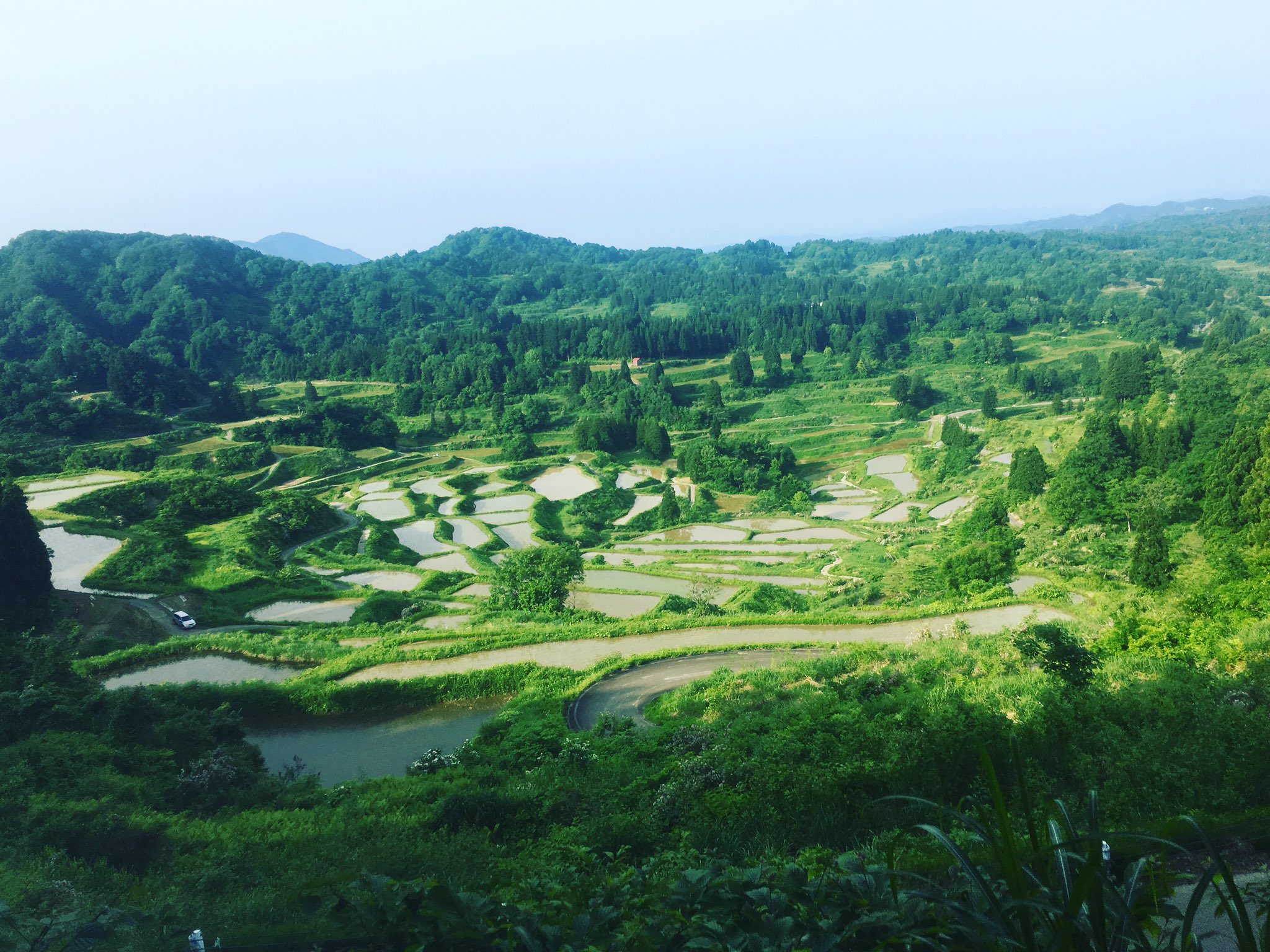 オメガ ブログ コロナ落ち着いたらまたいきたい 新潟 新潟観光 新潟県 星峠の棚田 棚田 棚田百選 十日町 十日町市 峠 畑 緑 田舎 田舎の風景 景色 景色綺麗 絶景 日本の絶景 日本の風景 美しい 美しい風景 癒し 癒しの時間 写真