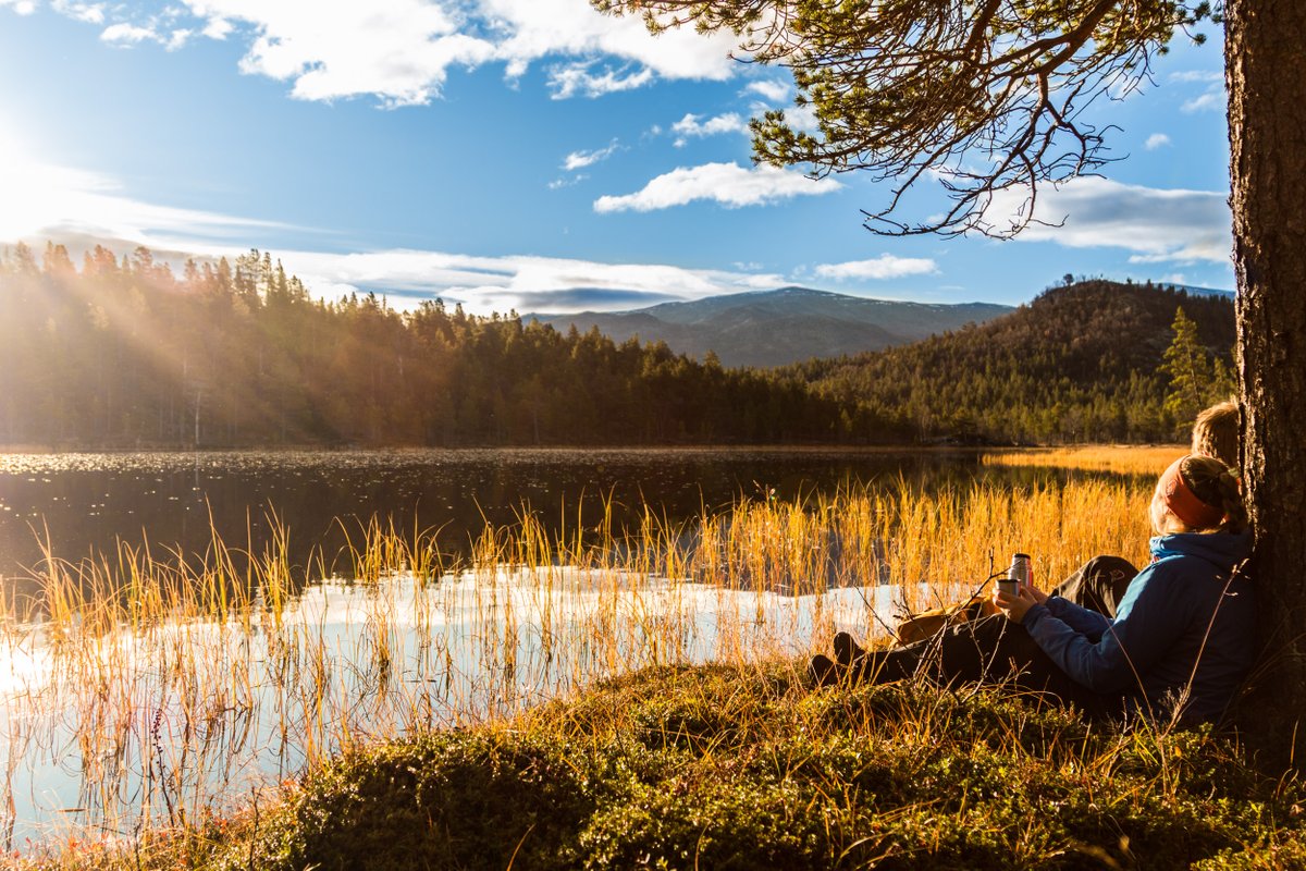 StrongerCombin1's tweet photo. Throughout the @interreg @NorthSeaRegion program "Green transport and mobility" and the project @StrongerCombin1 @innlandstrafikk are bringing combined mobility to the Norwegian mountains.
#combinedmobility #mobility #MadeWithInterreg https://t.co/VCnWt7PMjm
