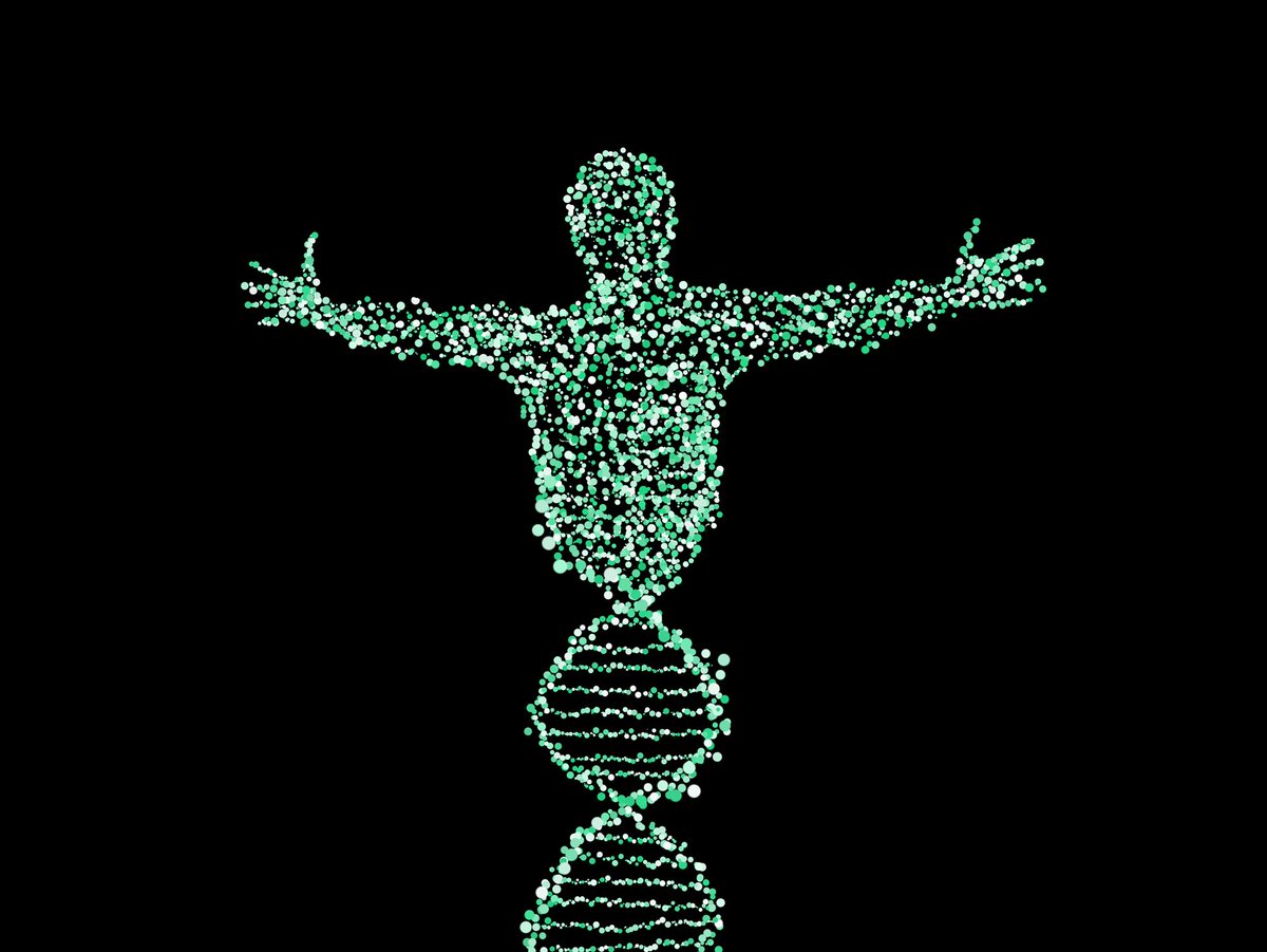 compbiopodcast's tweet photo. Our DNA makes us unique. It also makes us similar to each other - sometimes more and sometimes less. How?@sabahkadri and @arorarshi explore genetic variation,dbSNP,HapMap and GWAS.
Apple: https://t.co/Br0UrWh4Ve
Anchor: https://t.co/O01fMupqdi
#gwas #genetics #podcast #newepisode https://t.co/WmNL628FG3