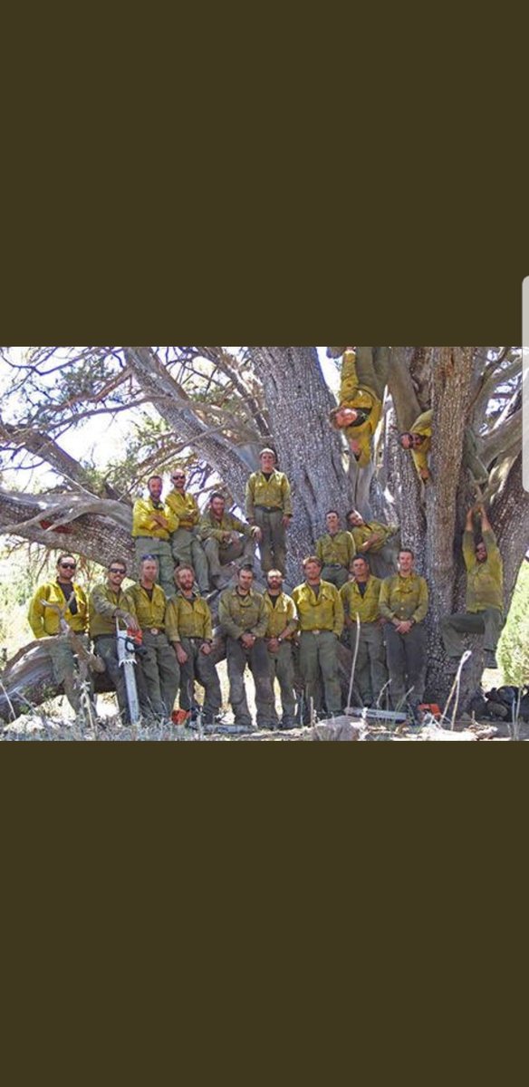 7 years ago today we lost the Granite Mountain Hotshots at the Yarnell Hill Fire. Please keep these 19 men in your memory as they paid the ultimate sacrifice protecting lives and property in AZ. Always remembered and never forgotten. #GMHS19