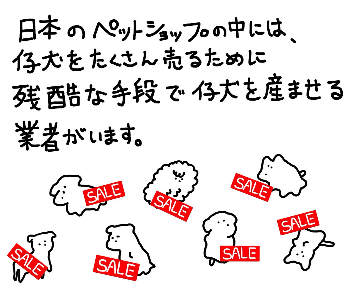 #数値規制 
人間といる動物について知ってほしいこと① 