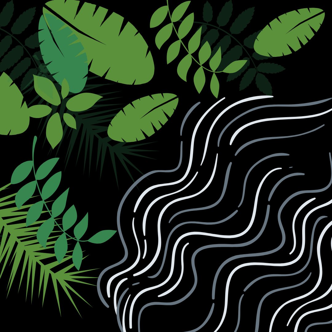 Our newest review on Fox News’ article on the weakened carbon uptake in Amazon and African tropics is available for reading here: bit.ly/WarmaKukolj. Review by Kukolj and Warma. Score: 5/5. #science #scifeye #news #reviews #FoxNews #research