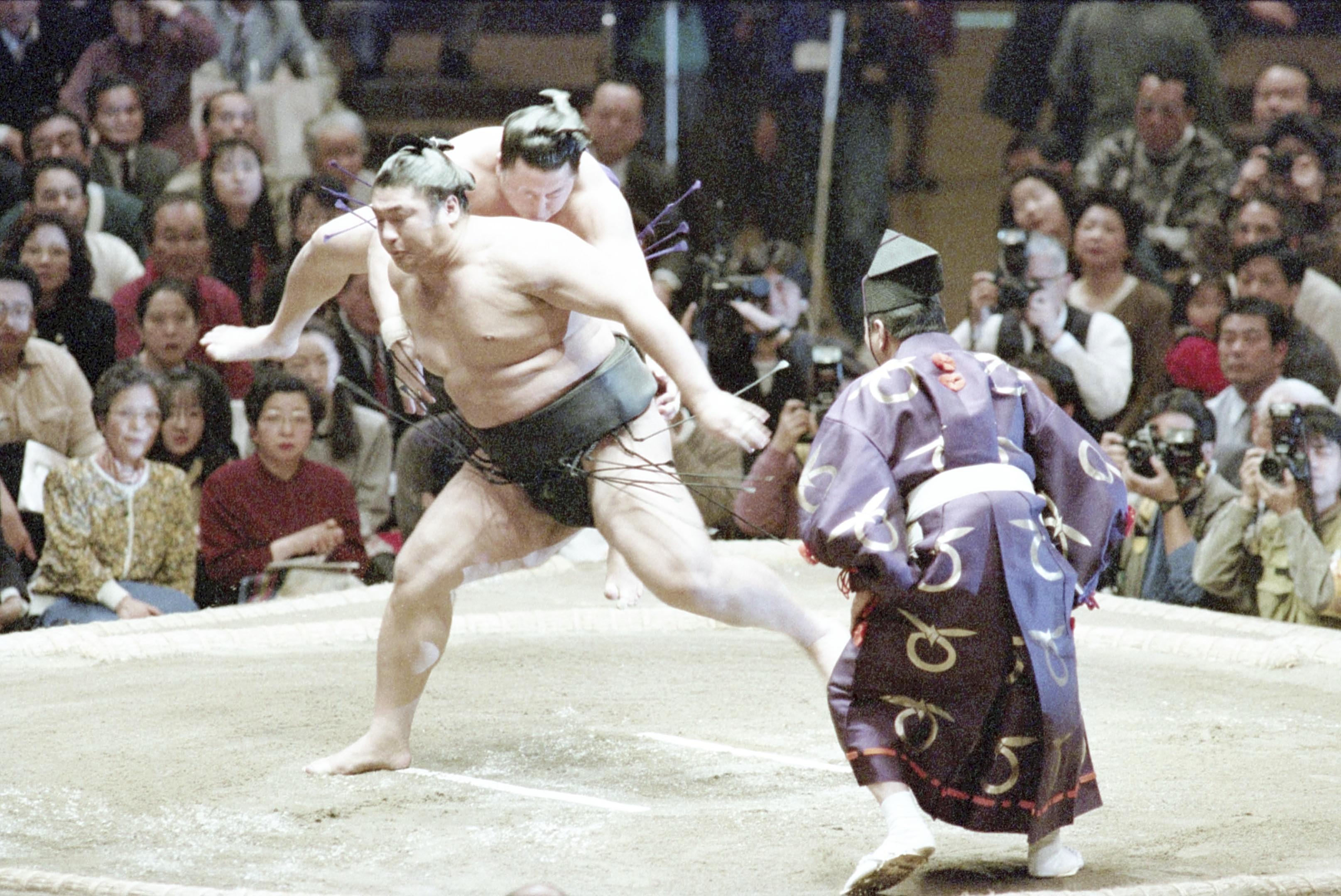 Sumo jumper sales
