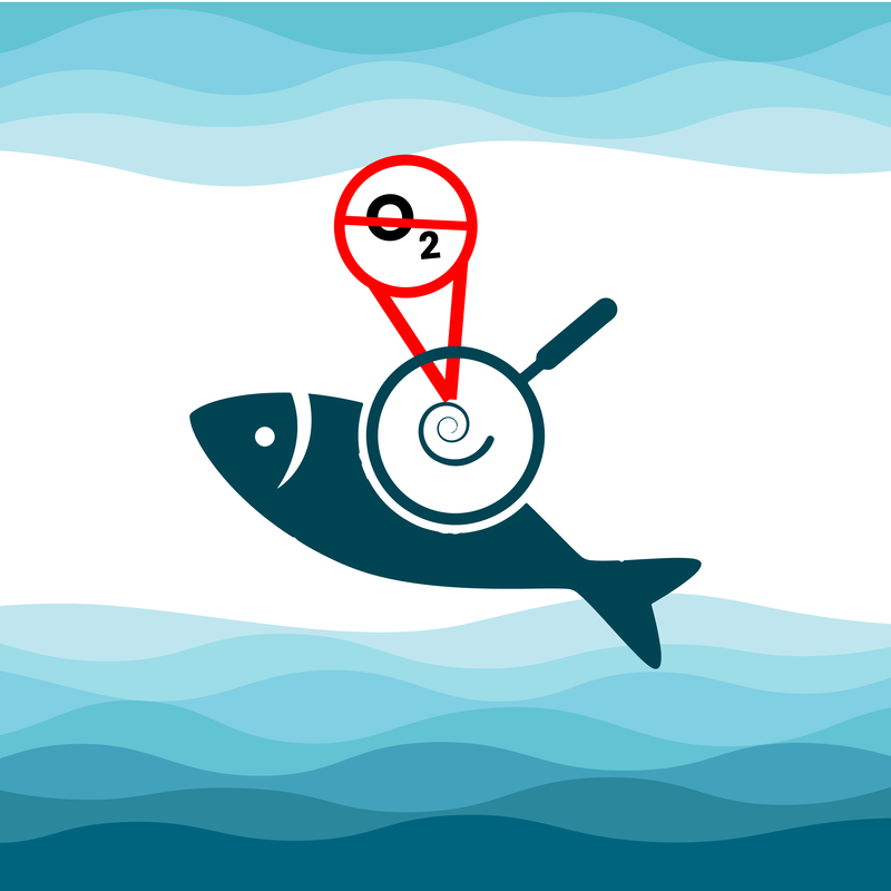 Check out our new review on CBC’s article summarizing research on a parasite that doesn’t need to breathe: bit.ly/ChangSpad. Review by Spadacini and Chang. Score 5/5. #science #scifeye #news #reviews #research #parasite #CBC