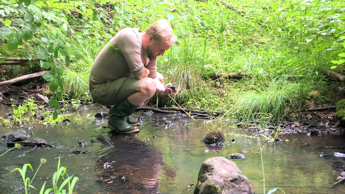 FBL_UCPH's tweet image. Yesterday, Kirsten, Lars, Max and Trine did some reconnaissance prior to this year's corona version of our course in #freshwater #fieldbiology. Later in the summer we will revisit a few of these locations accompanied by ~200 students. Can't wait! 🙂