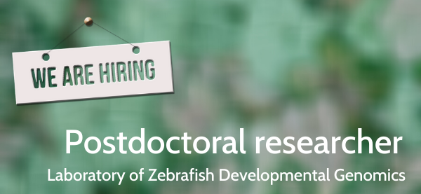 IIMCB_Poland's tweet photo. The Laboratory of Zebrafish Developmental Genomics at #IIMCB, headed by Cecilia L. Winata, is looking for a #Postdoctoral Fellow.
๐ More: https://t.co/BxyIi4q3dz
๐ Deadline for applications: July 20, 2020.
#JobOffer #NCN #NCS #job #zebrafish #daniorerio #WinataLab #reasearcher https://t.co/z9kXyYeazn