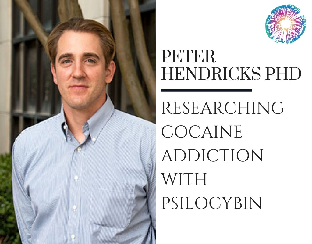 Psychedelics Today tweet media