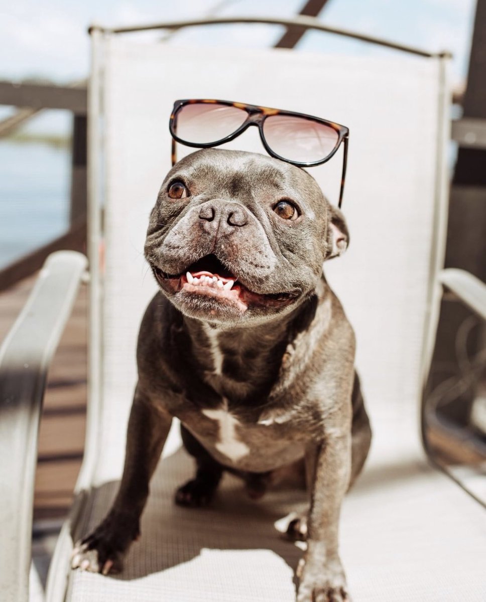 Klassy Network tweet media