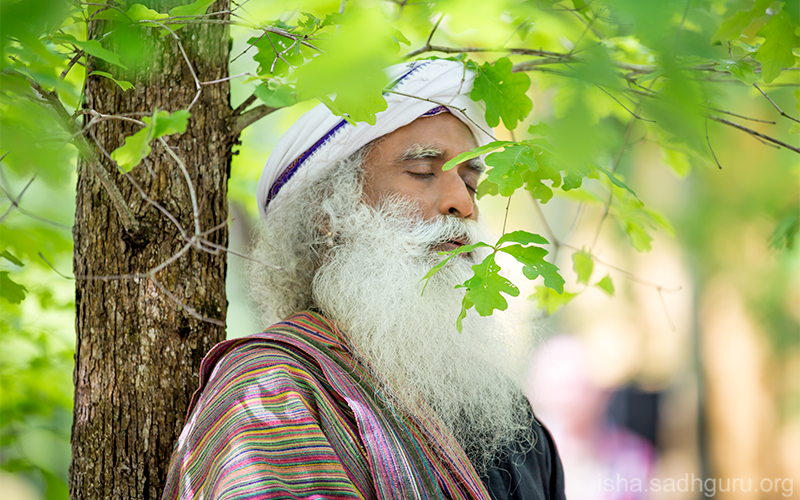 SadhguruJV's tweet photo. Yoga is, quite simply, the science of being in perfect alignment, in absolute harmony, in complete sync with existence. #SadhguruQuotes https://t.co/nC8ObCTfuu