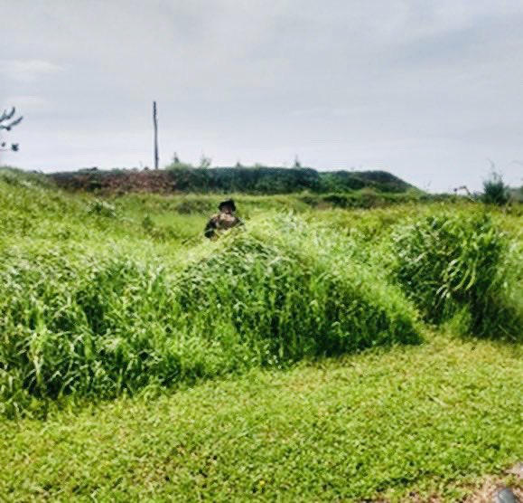 Not_Blade_6's tweet image. #bladekilo getting after land nav training aboard Camp Schwab. A little different then desert land nav! #forwarddeployed #greenstuff #theblade