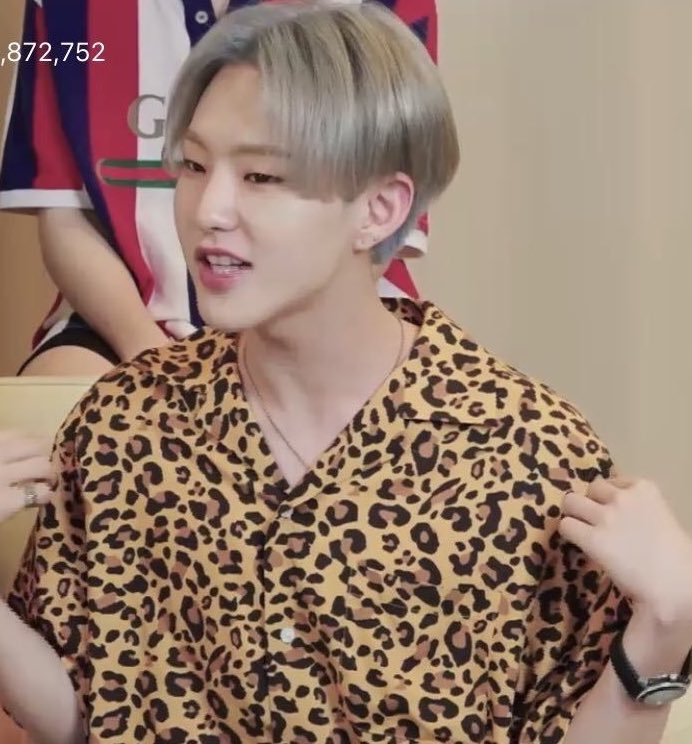 — i don't know if y'all know about it but hoshi and wonwoo agreed not to give each other gifts but wonwoo still gave him a leopard + tiger print polos on his birthday also wonwoo bought too! a leopard one.  #soonwoo  #wonhosh