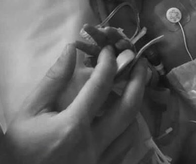 JoFamilyLaw's tweet photo. Our little boy decided to join us in the world 6 weeks early last night. We will have a fair amount of time in NICU ahead, but he is doing so well already. We are exhausted yet feeling very lucky. The NHS staff have been wonderful despite the difficult times. https://t.co/wXCLShc0X4