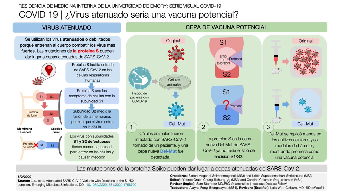 MEdSinFrontera's tweet photo. El SARS-CoV-2 con la proteína S mutada puede tener una habilidad reducida de entrar a células, un concepto que tiene potencial para el desarrollo de una vacuna.

Traducción: @FengAlayna 
Revisión: @DocWoc71 

#COVID19FOAMForAll #EducacionEnTiemposDeCOVID
 #MedEdSinFronteras https://t.co/9uY42Mnh43
