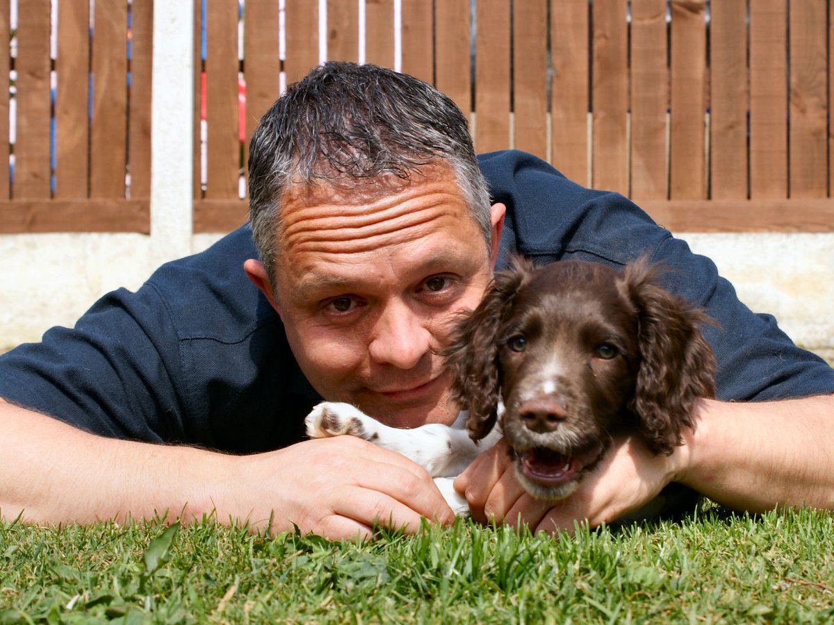 Foxes Afloat tweet media