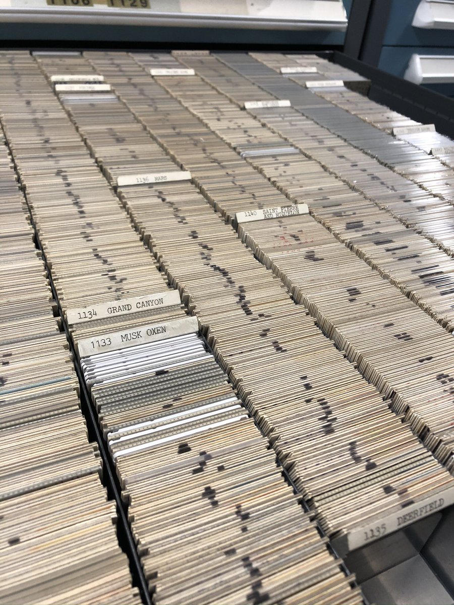 NatGeoLibrary's tweet photo. Time for a #legacyformat #archives photo — see how many @NatGeo slides fit in one #Vidmar drawer! #photography #preservation https://t.co/9omm8nSBIw