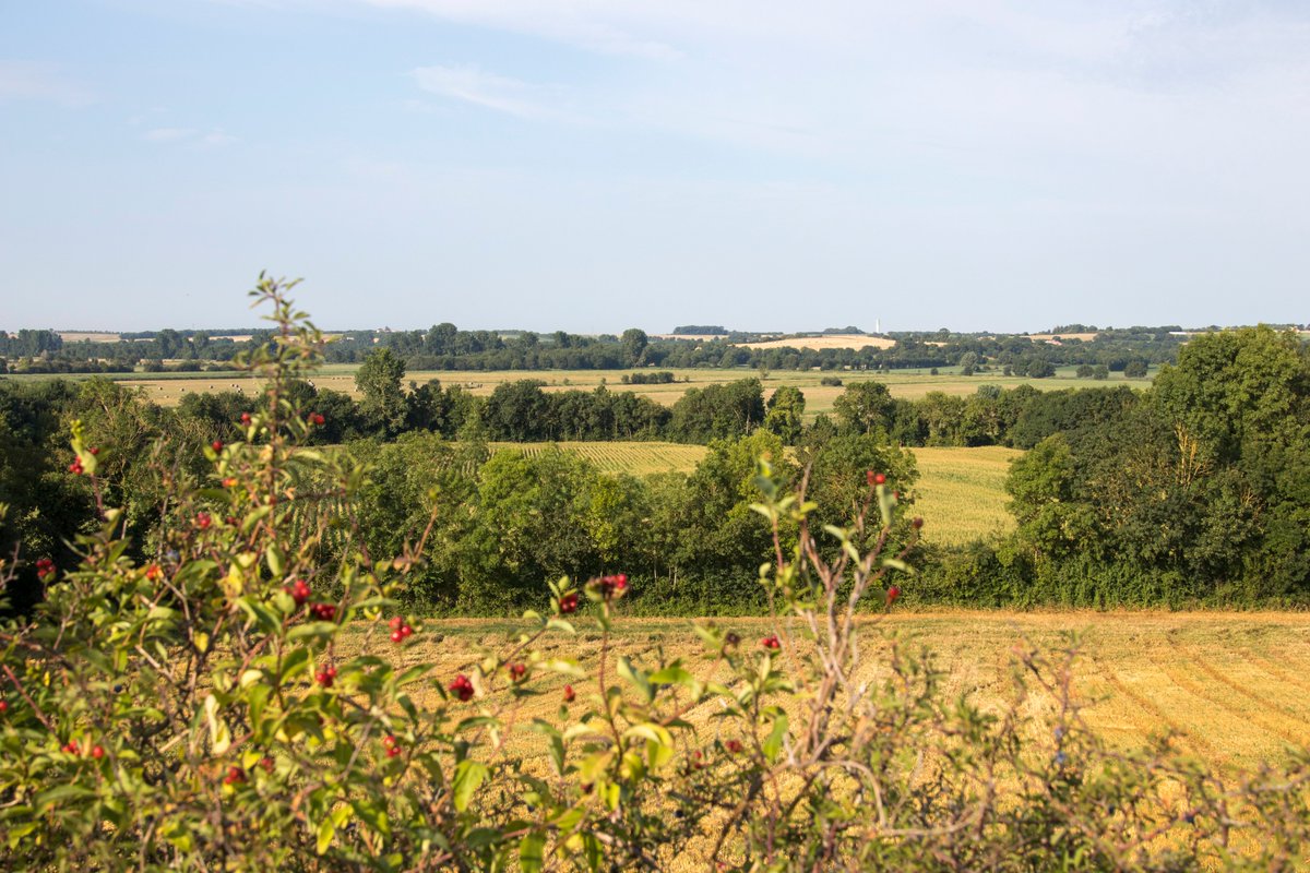 departement17's tweet photo. 👋Bon dimanche la Charente-Maritime ! On vous laisse avec ces belles images de notre #Dept17😍. 
#EvadezVous en #CharenteMaritime

🖼️Carrelet 
🖼️Phare des Baleines 
🖼️Trézence 

📸Lestrade &amp; Bellot https://t.co/GmYpLTyEfD