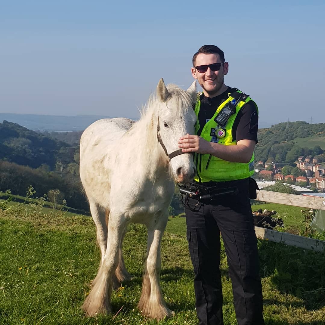 🐴 Horse owners - sadly, your valuable equine equipment could be a target for thieves in rural areas.

⤵️ Please download our horse &amp; equipment ID pack, available from our website: northyorkshire.police.uk/horsewatch

⏱ A few minutes spent now might save a lot of inconvenience later!