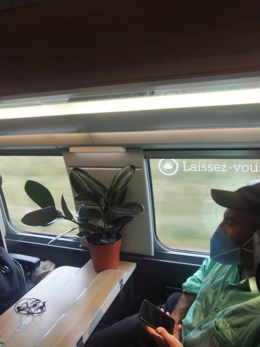 #tgvinoui8440 
Nos tis voyageurs du jour ont décidés d'égayer la 1ère Classe 😊🌺 
Je valide 👍 Trop jolie comme ça 😍
<a href="/SNCF/">❌</a>  <a href="/TGVINOUI/">TGV INOUI</a>