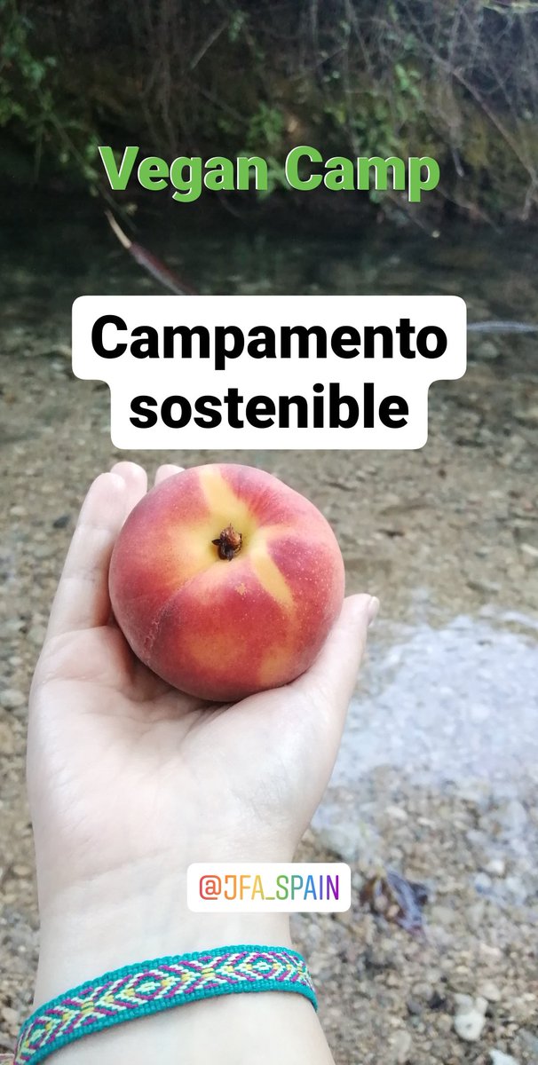 CampJFA's tweet photo. 💚🏕️😎👌 https://t.co/4WDTy7iUaw