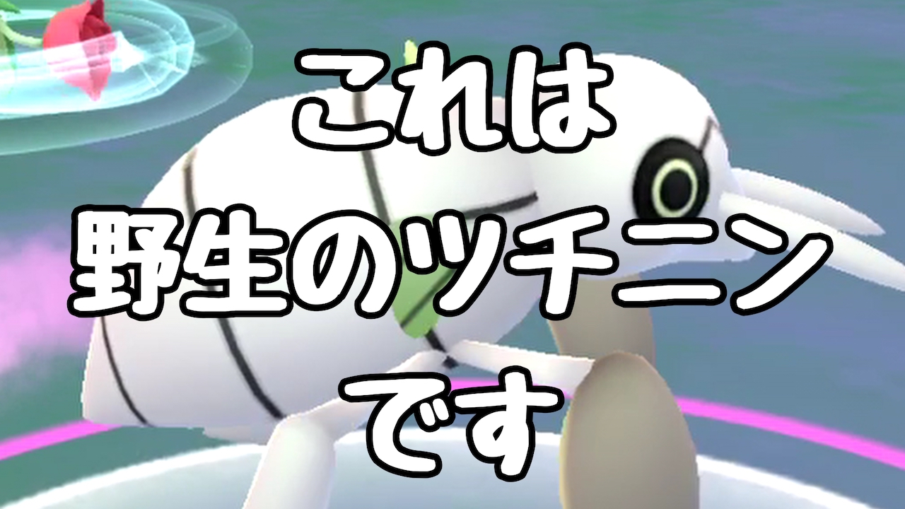 たける ポケモンgo ツチニン 野生 捕獲 ポケモンgo ポケモン ツチニン 色違いでない T Co Vdf2ha450x T Co Ijjw4wz2mo Twitter