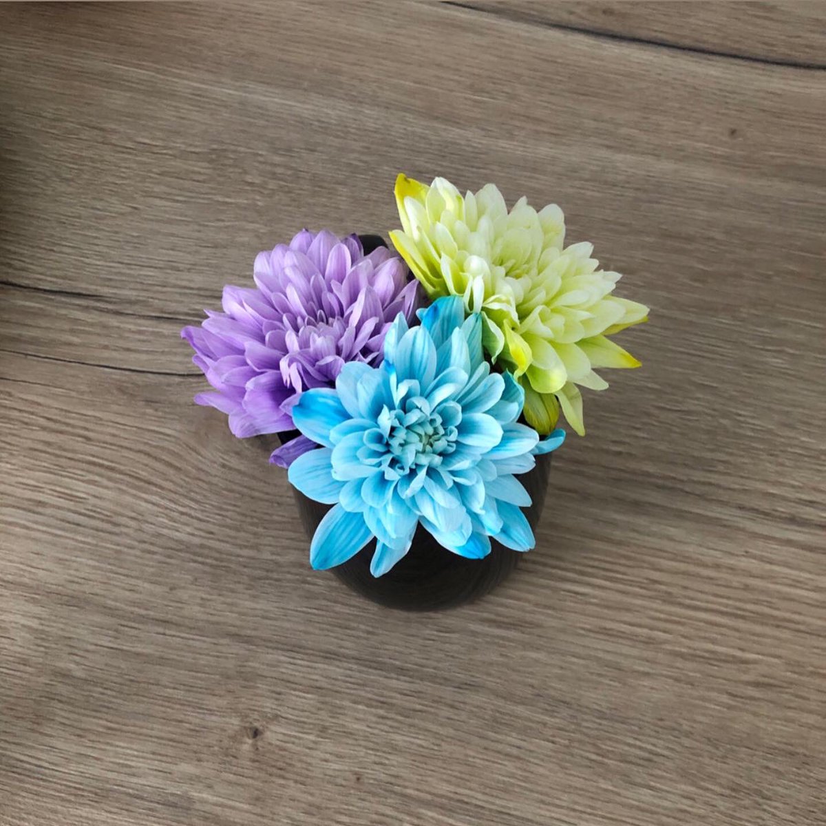 annaumarova22's tweet photo. What color would you prefer for your drawing?😌💜💛💙 https://t.co/XjGumTExGM #flowers #blue #yellow #purple #art #girlinblue #drawing #inspiration https://t.co/vNCuM31Vkj