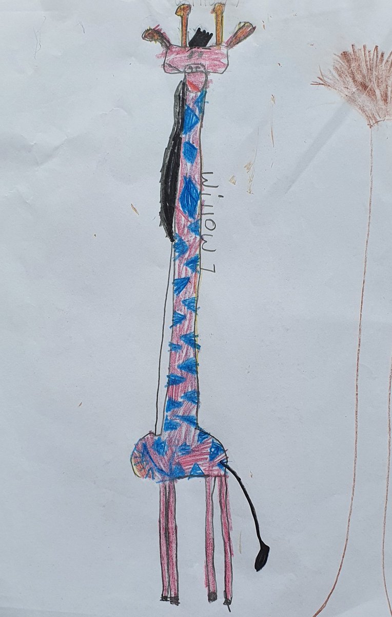 EleribPugh's tweet photo. Willow's giraffe 🦒♥ thank you @RobBiddulph #DrawWithRob https://t.co/iKyoCmSG0w