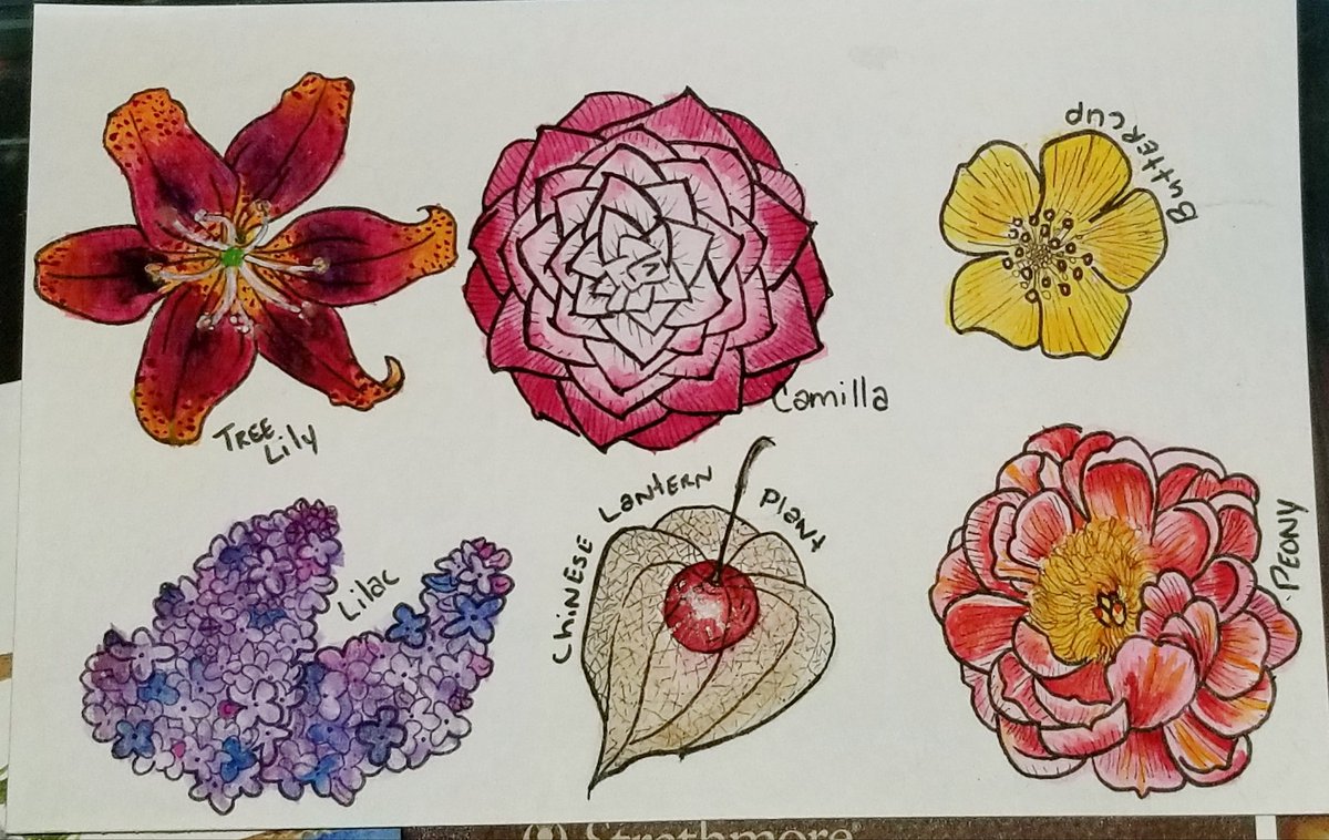 CCauldroncrafts's tweet photo. I swear I still write, i just haven't finished anything at all currently bc ᵧₒᵤ ₖₙₒ𝓌

been drawing tho (@BotanyVampire  is my personal account and I'm irritatingly active there) https://t.co/4lGRmfXjJc