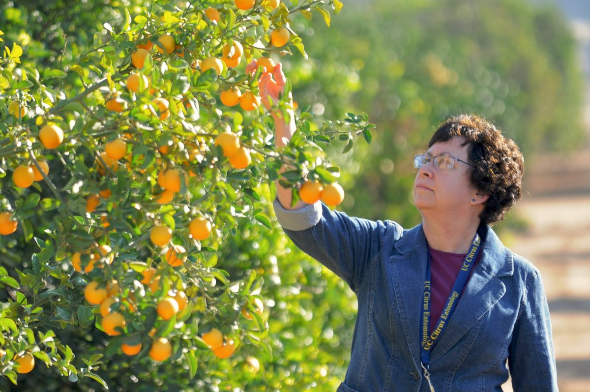 Today is the last official working day for Dr. Beth Grafton Cardwell @UCANRBethGC, director at the Lindcove Research &amp; Extension Center <a href="/ucanr/">Ag&Natural Resources</a>. We will miss a great person, a fantastic leader, a savvy entomologist, and a powerful extension agent. Enjoy a well deserved retirement!
