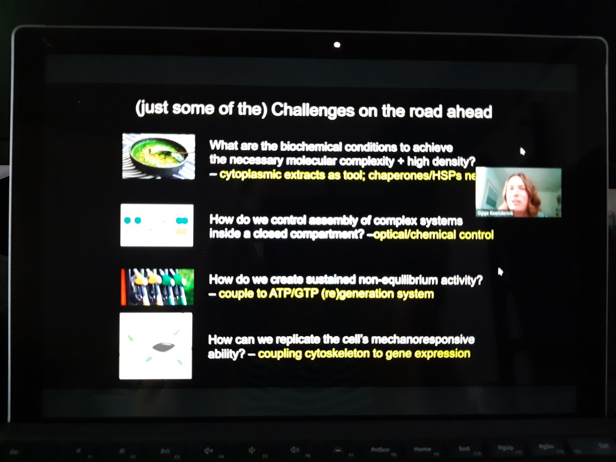 LaanLiedewij's tweet image. Gijsje:&quot;challenges ahead of us&quot; #SyntheticCell