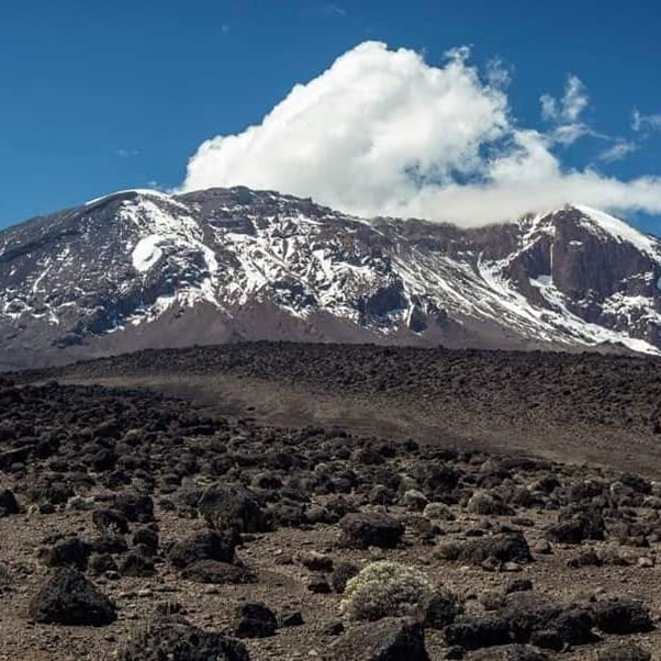 NaickAbswai's tweet photo. The advantage of joining a group, especially in climbing Mount Kilimanjaro, is that you get more courage and share the history of other climbers.

Please don’t hesitate to contact us KILISATOURS for any assistance or inquiries related to safaris and tours in Tanzania🇹🇿. https://t.co/ExTXVJr2oR