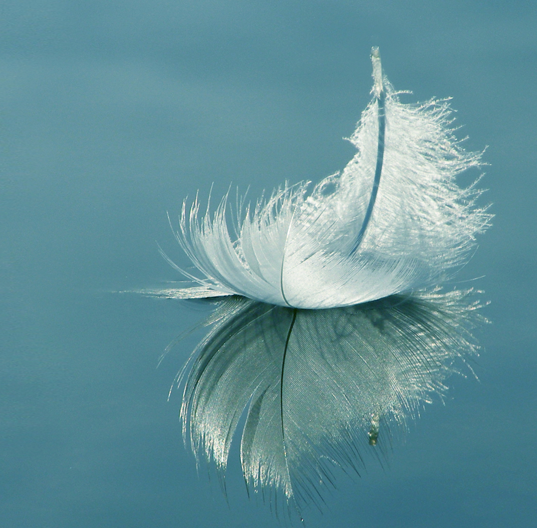 eQeltd's tweet photo. #CPD #Mentalhealth #Wellbeing #schools #training #mindfulness Powerful Moments: Using Mindfulness approaches to manage anxiety, develop self-awareness and self-regulation, and to enhance Wellbeing. November 25th 2020 9.30-3.30 SK7 4EX. £90+VAT bridget.sheehan@eQe-ltd.com https://t.co/bAFdWREiVj