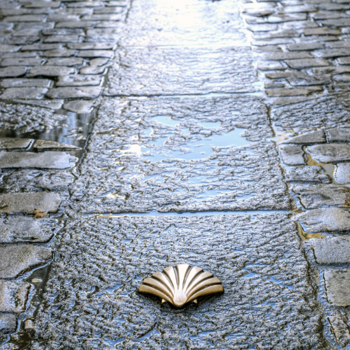 HillwalkTours's tweet photo. 😍Happy St James day to all👣
“Don’t come to the Camino looking for answers. Instead, come with an open heart and you may be surprised by what you find.”
#stjamesday #caminodesantiago #lovehiking #findyourway #timetocelebrate #spiritualwalking #hikingadventure #walktheway https://t.co/kRRbK5gjyk