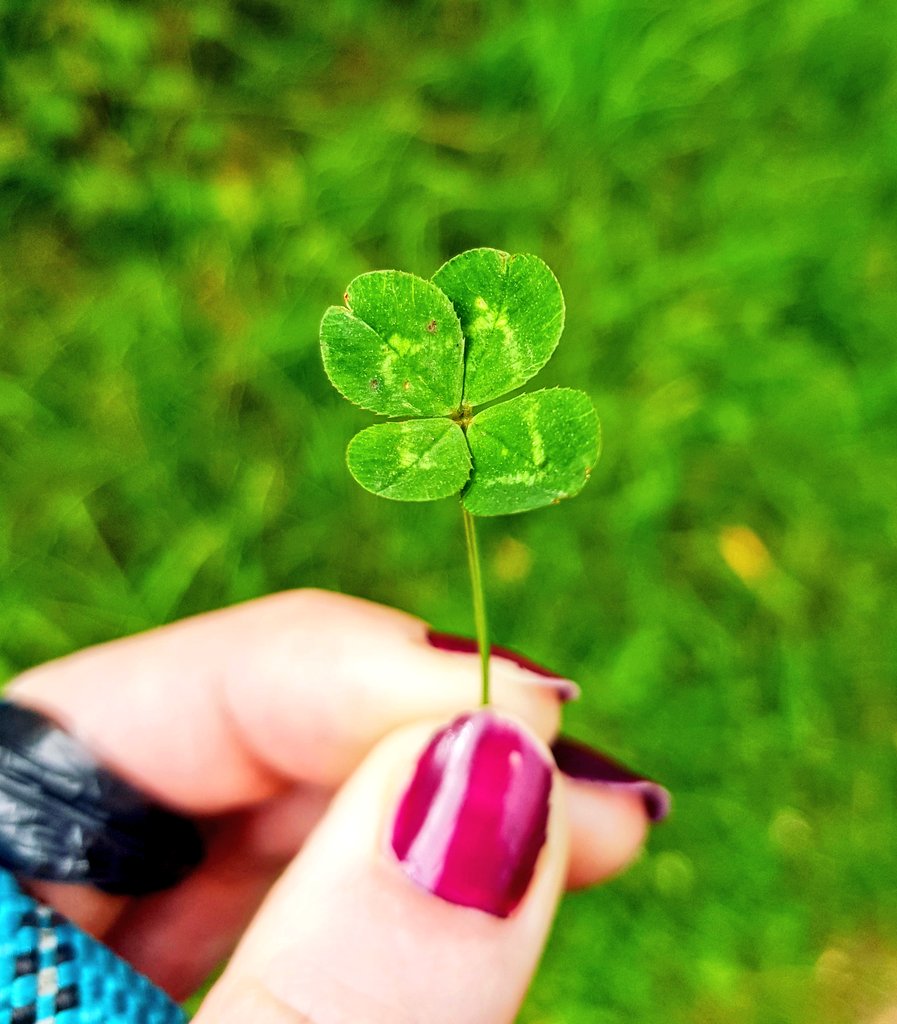 Beckyt18 tweet picture