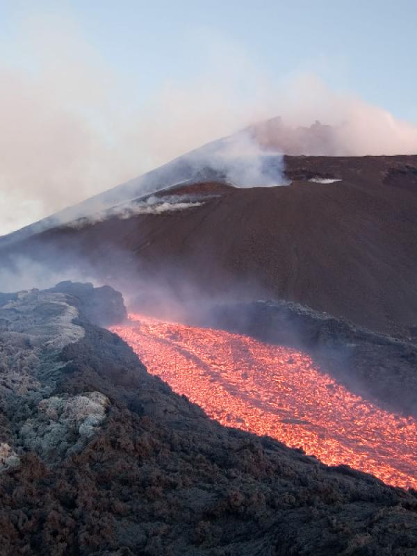 Henriette Speed tweet media