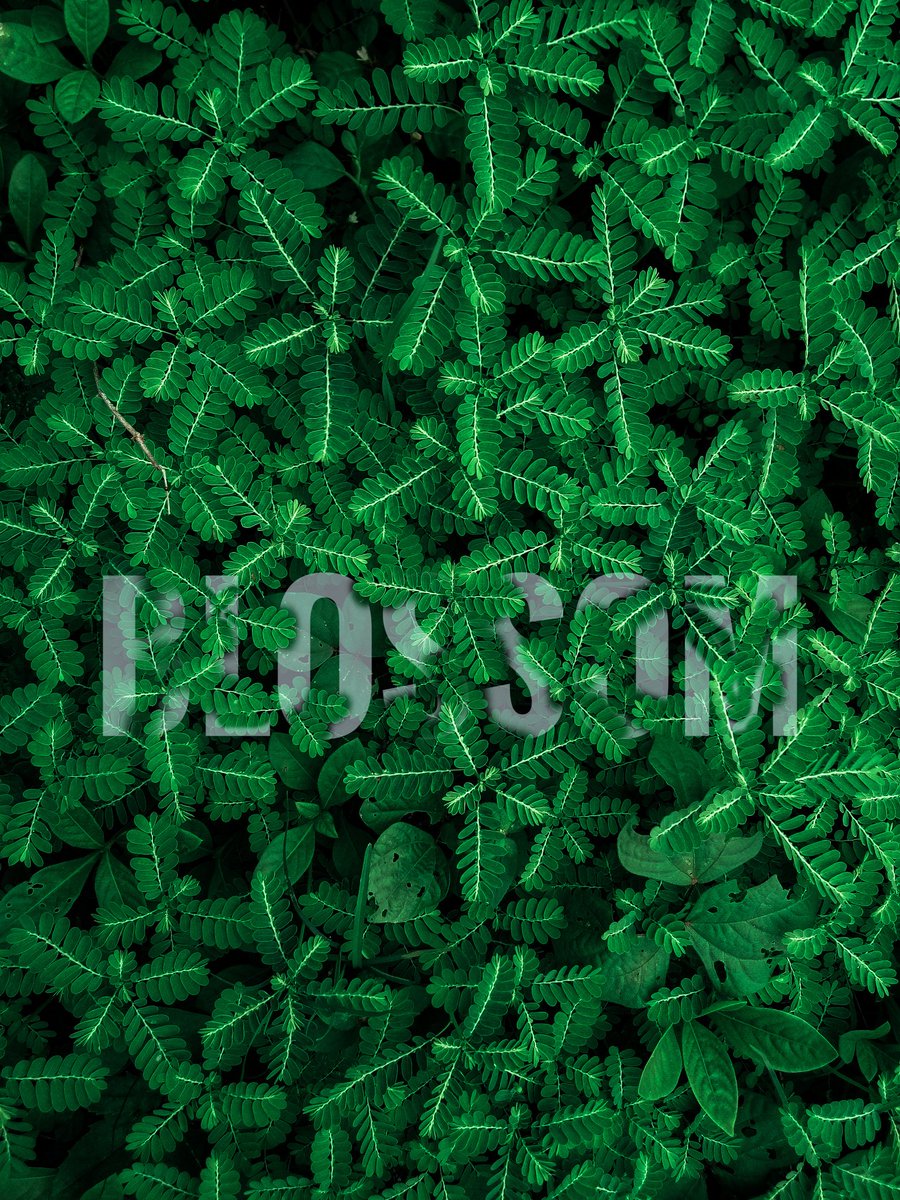 #photography #Microsoft365 #photography #photographer #photography #mobilephotography #MobileLegend #editing #Editorial #edicola