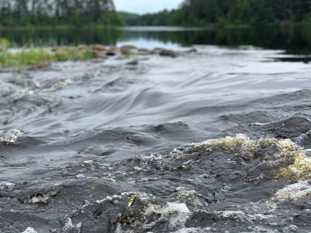 You don't want to miss out on early bird rates for the #SaltSymposium2020 Register today for this great online event.
#SmartSalting 4 #waterquality 
pca.state.mn.us/content/salt-s…
<a href="/MnPCA/">Minnesota Pollution Control Agency</a> <a href="/MnTAP_UMN/">MnTAP</a> @mngreencorps <a href="/GreenStepCities/">MN GreenStep Cities and Tribal Nations</a> <a href="/smallbizMPCA/">MPCA Small Business</a>