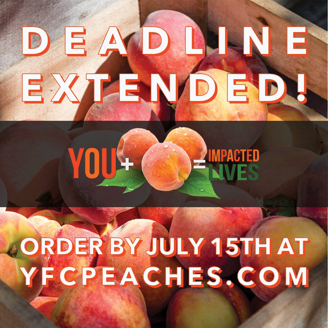 DEADLINE EXTENDED! Georgia peaches and pecans are arriving late July. With this change, we are extending our order deadline to July 15th! Order today at yfcpeaches.com! 
To modify an existing order, contact us at info@giyfc.org