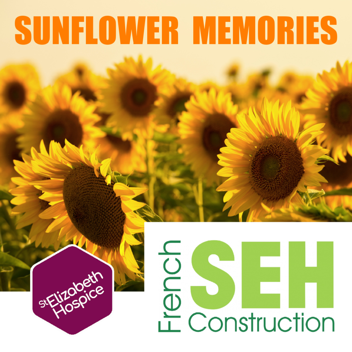 stelizabethhosp tweet media