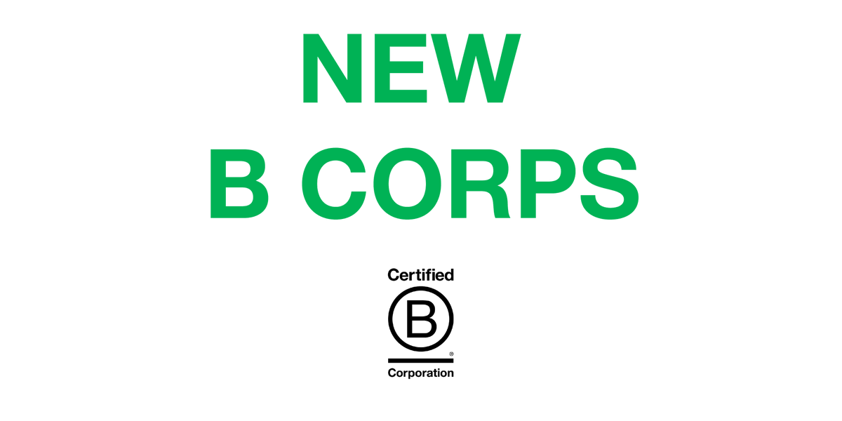 B Corp Benelux tweet media