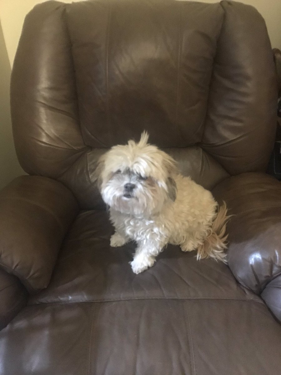 Delirious Dave (DeliriousDave2) Twitter