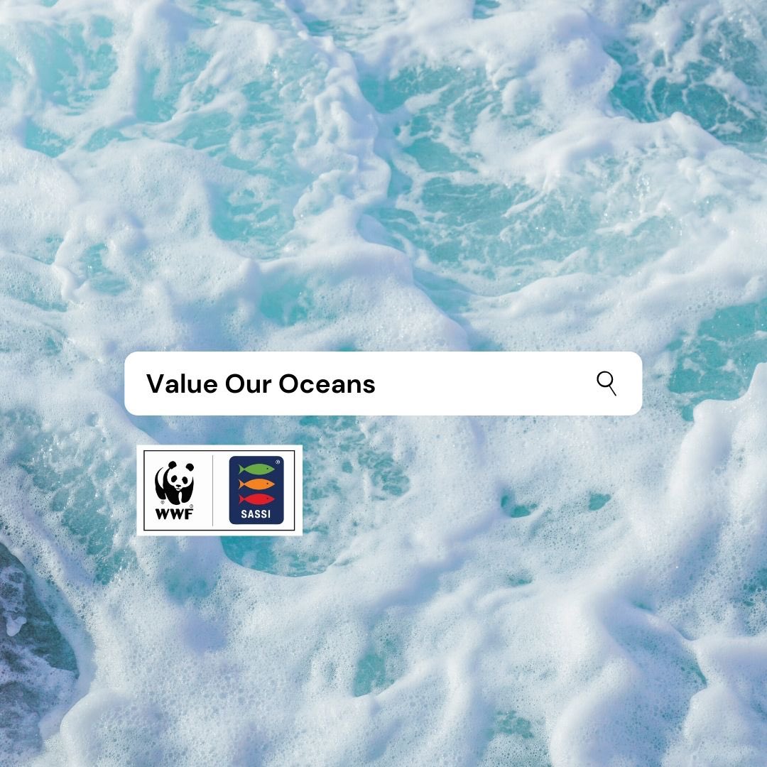 WWFSouthAfrica's tweet photo. Healthy oceans = healthy people
@WWFSASSI has been showcasing why we should #ValueOurOceans throughout June - World Oceans Month. If you missed it, click on the hashtag and feel inspired. https://t.co/vOx7hC4soc