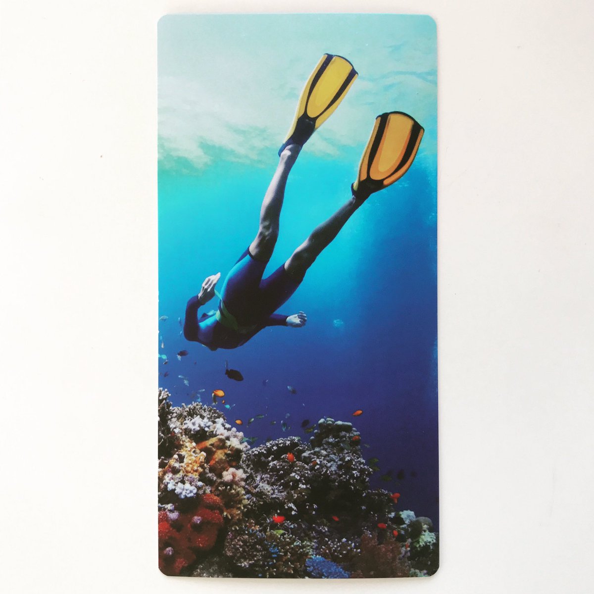 artwork_atwork's tweet image. —
#NewToy 🌊📸🌊
#WaterProof #IWishIWas