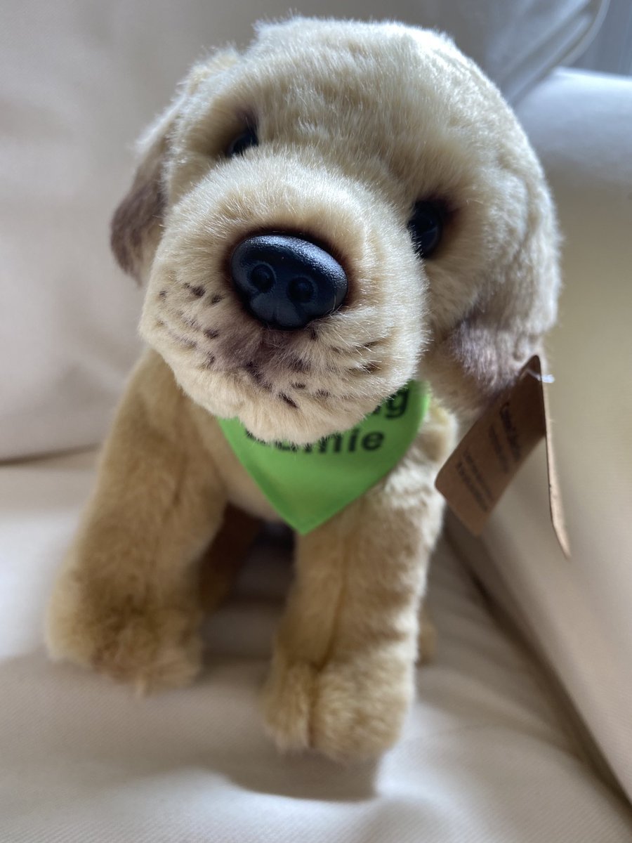 joan bauer tweet media