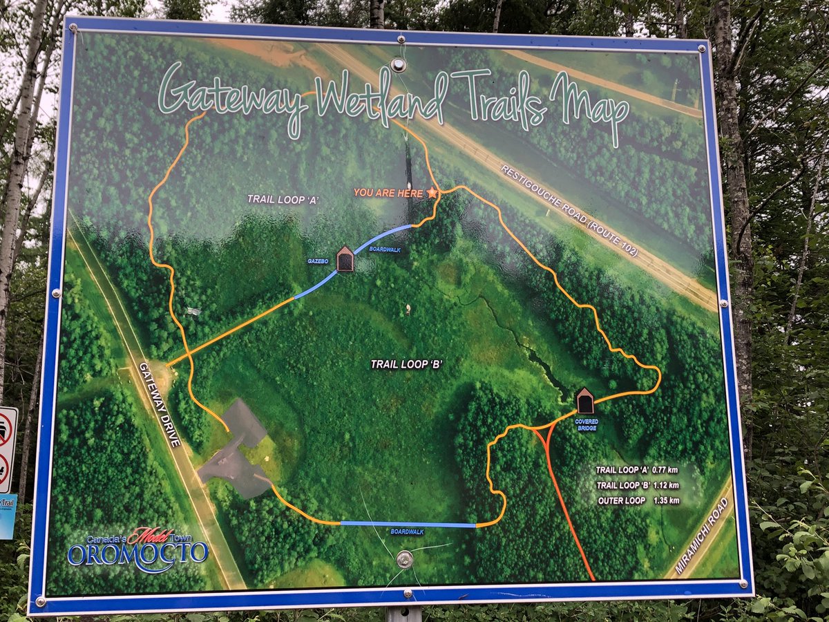 🌪Hubbard Avenue Elementary School🌪 tweet media